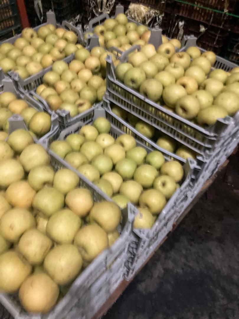 WhatsApp Image 2025-11-13 at 4.10.45 PM (2).jpeg